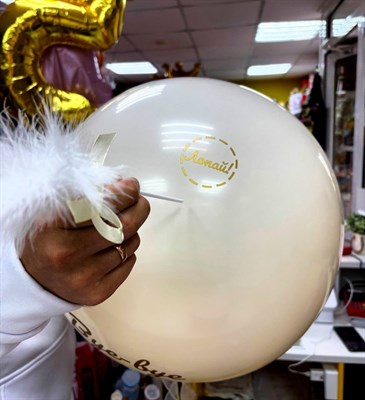 Шар на девичник - фото 6133