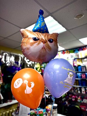 Композиция с котом - фото 6182