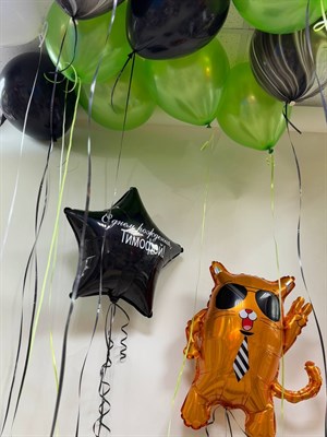 Кот и  звезда с надписью - фото 6211