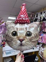 Веселый кот