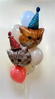 Котики